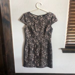 Windsor Black Lace Open Back Dress